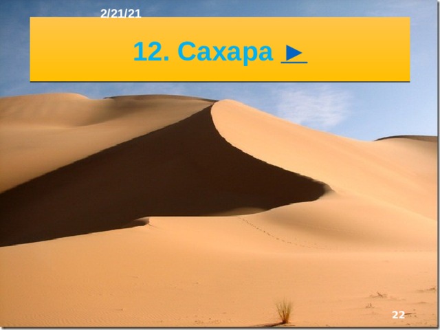 2/21/21 11. Экваториальные леса  