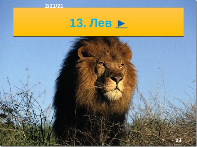 2/21/21 12. Сахара ►  