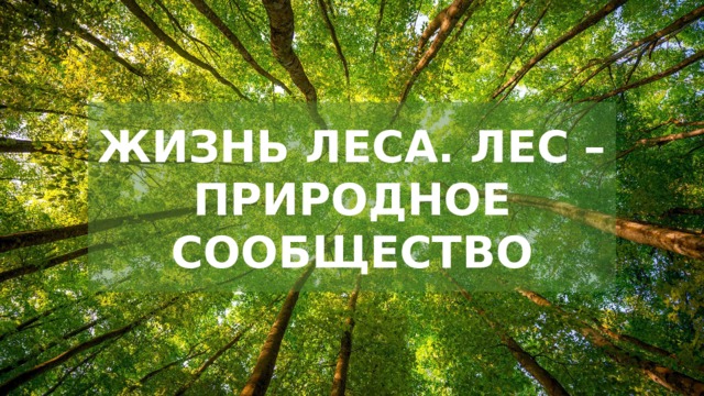ЖИЗНЬ ЛЕСА. ЛЕС – ПРИРОДНОЕ СООБЩЕСТВО