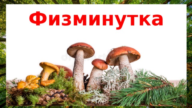 Физминутка