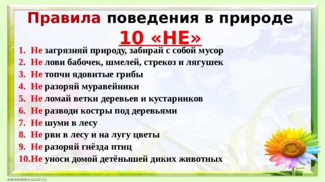 Правила поведения в природе  10 «НЕ»