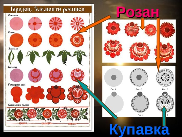 Розан Купавка 