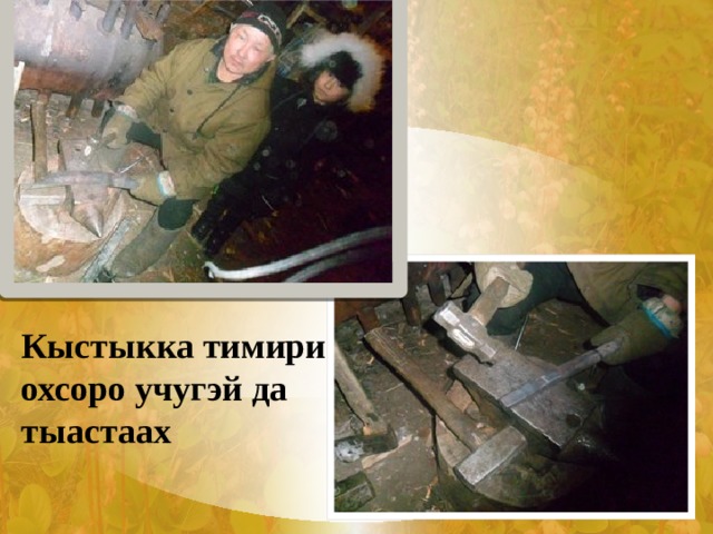 Кыстыкка тимири охсоро учугэй да тыастаах 