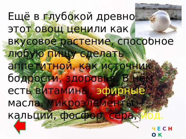 Ещё в глубокой древности этот овощ ценили как вкусовое растение, способное любую пищу сделать аппетитной, как источник бодрости, здоровья. В нём есть витамины, эфирные масла, микроэлементы – кальций, фосфор, сера, йод. Ч  Е С Н О К 