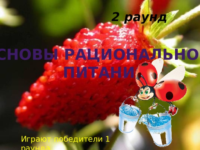2 раунд Основы рационального  питания Играют победители 1 раунда 