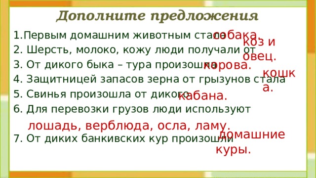 Дополните предложения собака. 1.Первым домашним животным стала 2. Шерсть, молоко, кожу люди получали от 3. От дикого быка – тура произошла 4. Защитницей запасов зерна от грызунов стала 5. Свинья произошла от дикого 6. Для перевозки грузов люди используют 7. От диких банкивских кур произошли коз и овец. корова. кошка. кабана. лошадь, верблюда, осла, ламу.  домашние куры. 