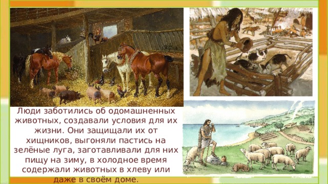 Люди заботились об одомашненных животных, создавали условия для их жизни. Они защищали их от хищников, выгоняли пастись на зелёные луга, заготавливали для них пищу на зиму, в холодное время содержали животных в хлеву или даже в своём доме. 