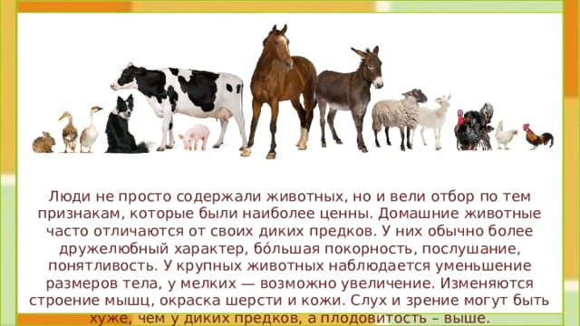 Люди не просто содержали животных, но и вели отбор по тем признакам, которые были наиболее ценны. Домашние животные часто отличаются от своих диких предков. У них обычно более дружелюбный характер, бо́льшая покорность, послушание, понятливость. У крупных животных наблюдается уменьшение размеров тела, у мелких — возможно увеличение. Изменяются строение мышц, окраска шерсти и кожи. Слух и зрение могут быть хуже, чем у диких предков, а плодовитость – выше. 