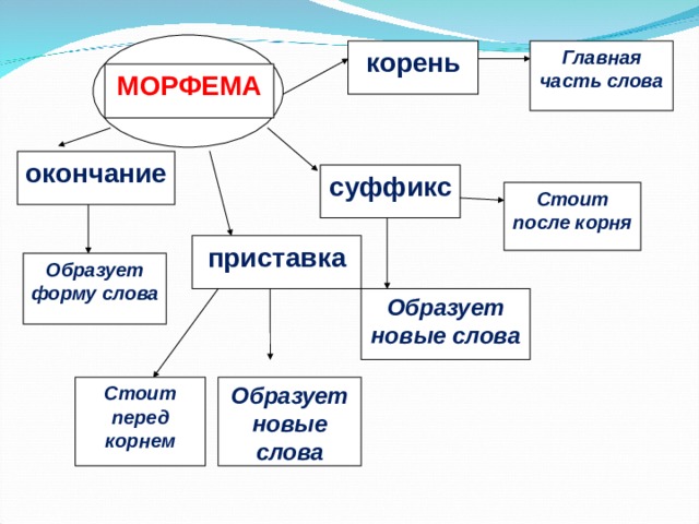 корень Главная часть слова МОРФЕМА окончание суффикс Стоит после корня приставка Образует форму слова  Образует новые слова Образует новые слова  Стоит перед корнем 