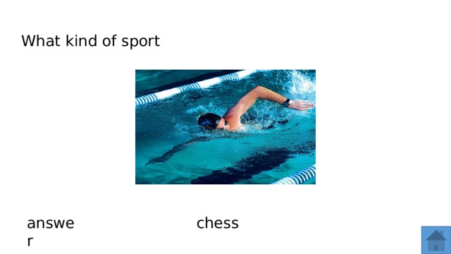 What kind of sport answer chess  