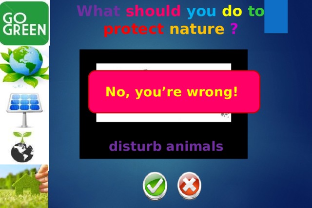 What should  you  do  to  protect  nature  ? Yes, you’re right! No, you’re wrong! disturb animals 