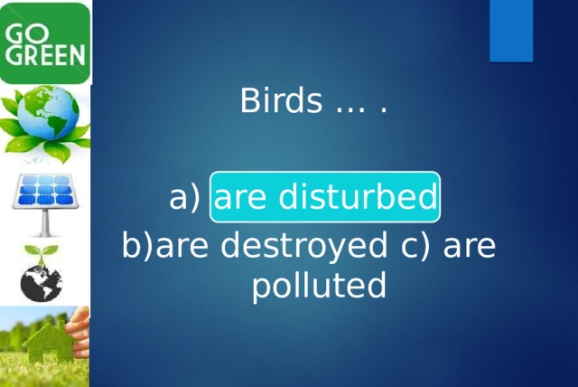  Birds … . a) are disturbed b)are destroyed c) are polluted 