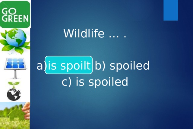 Wildlife … . a)is spoilt b) spoiled c) is spoiled 