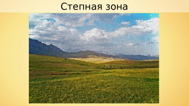 Степная зона 