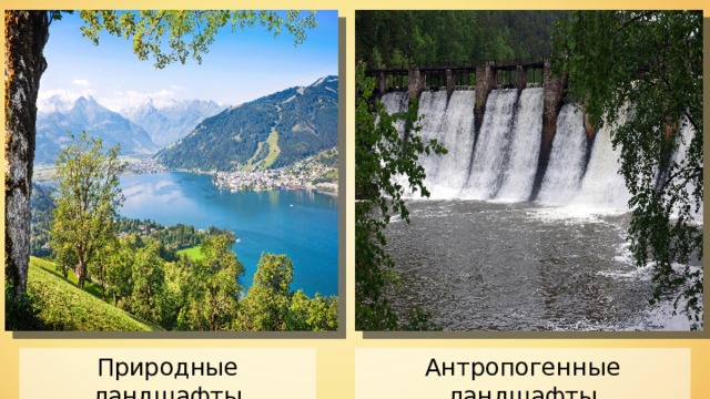 Антропогенные ландшафты Природные ландшафты 