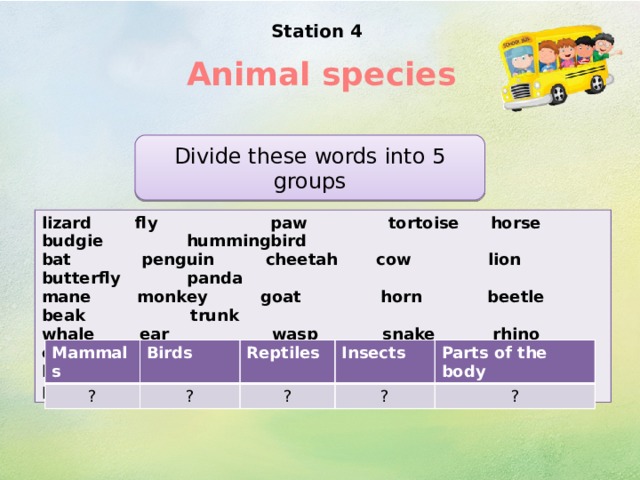 Station 4   Animal species Divide these words into 5 groups lizard fly paw tortoise horse budgie hummingbird bat penguin cheetah cow lion butterfly panda mane monkey goat horn beetle beak trunk whale ear wasp snake rhino cobra ladybird leopard frog cock ant wing peacock mosquito Mammals ? Birds Reptiles ? Insects ?  Parts of the body ? ? 