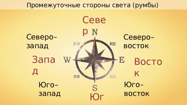 Промежуточные стороны света (румбы) Север Северо–запад Северо–восток Запад Восток Юго–восток Юго–запад Юг 