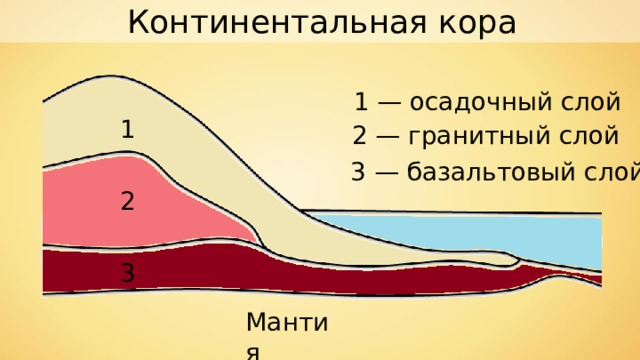 Континентальная кора 1 — осадочный слой 1 2 — гранитный слой 3 — базальтовый слой 2 3 Мантия 