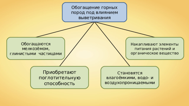 Обогащение горных пород под влиянием выветривания Обогащаются мелкозёмом, глинистыми частицами Накапливают элементы питания растений и органическое вещество Становятся влагоёмкими, водо- и воздухопроницаемыми Приобретают поглотительную способность 