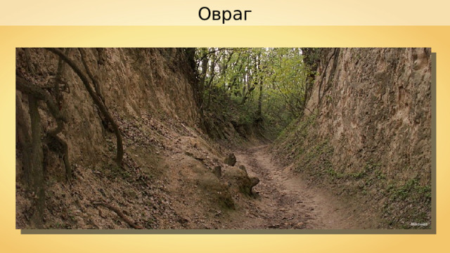 Овраг Macieias 