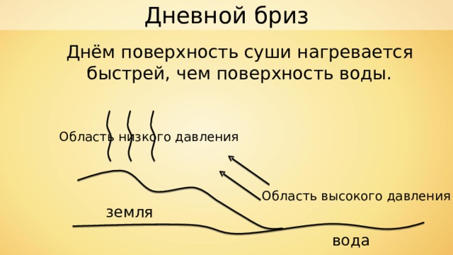Дневной бриз Днём поверхность суши нагревается быстрей, чем поверхность воды. Область низкого давления Область высокого давления земля вода 
