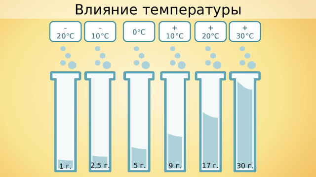 Влияние температуры + 30 °C – 20 °C + 20 °C + 10 °C 0 °C – 10 °C 2,5 г. 5 г. 17 г. 30 г. 9 г. 1 г. 