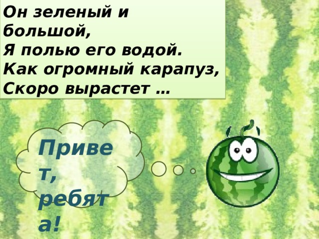 Он зеленый и большой, Я полью его водой. Как огромный карапуз, Скоро вырастет … Привет, ребята! 