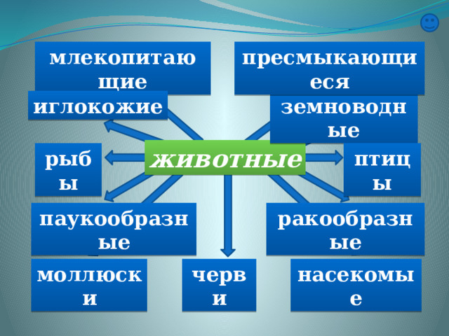 млекопитающие пресмыкающиеся земноводные иглокожие животные птицы рыбы ракообразные паукообразные насекомые черви моллюски 