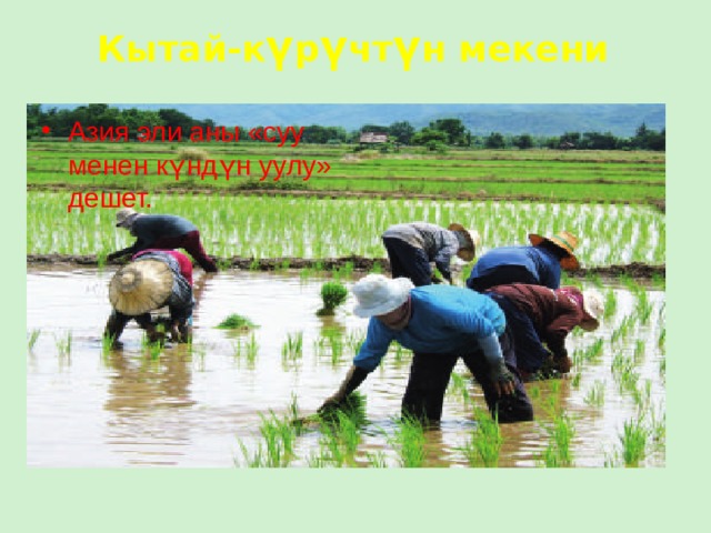 Кытай-к ү р ү чт ү н мекени Азия эли аны «суу менен күндүн уулу» дешет. 