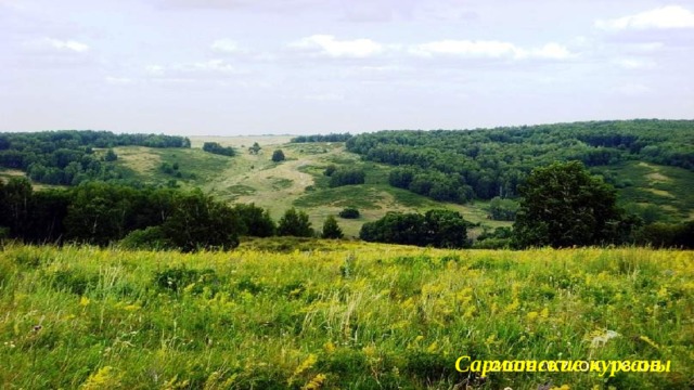 Сарматские курганы 