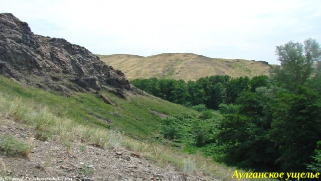 Аулганское ущелье 