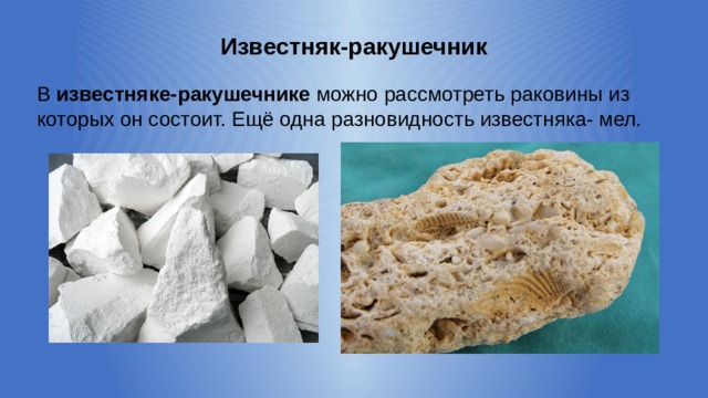 Известняк-ракушечник В известняке-ракушечнике можно рассмотреть раковины из которых он состоит. Ещё одна разновидность известняка- мел. 