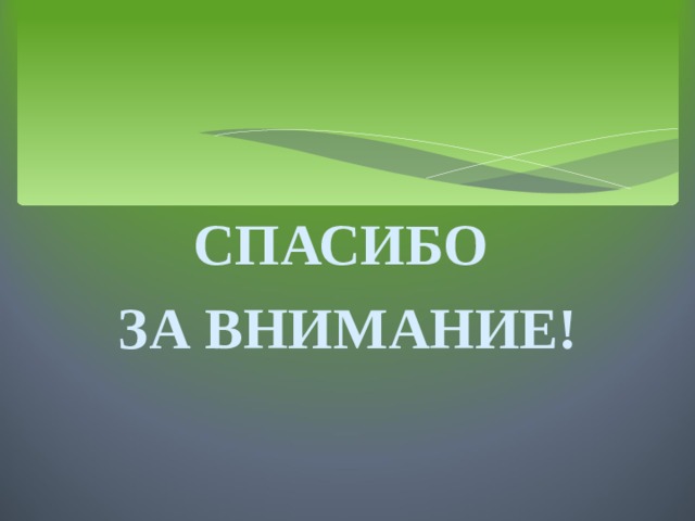 СПАСИБО ЗА ВНИМАНИЕ! 