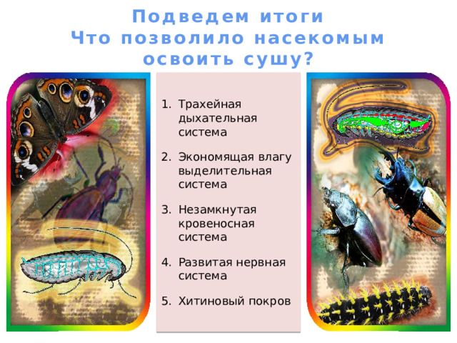  Половой диморфизм Жук-носорог. Самец Кузнечик. Самец Самец У многих насекомых хорошо выражен половой диморфизм, то есть самцы и самки сильно отличаются друг от друга. Иногда эти отличия связаны у самок с откладкой яиц. Так, очень длинные яйцеклады есть у самок наездников, кузнечиков и других насекомых, а у самцов они отсутствуют. У самца жука-носорога на голове рогообразный вырост, которого нет у самки. У бабочек голубянок голубые крылья имеют только самцы, а у самок крылья коричневые, незаметные. Самка Кузнечик. Самка Жук-носорог. Самка  