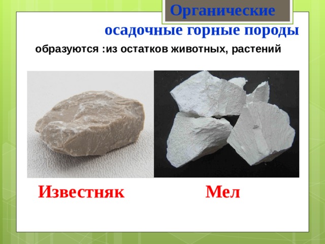  Органические  осадочные горные породы образуются :из остатков животных, растений  Известняк Мел 