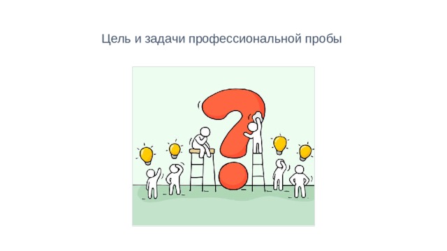  Цель и задачи профессиональной пробы   