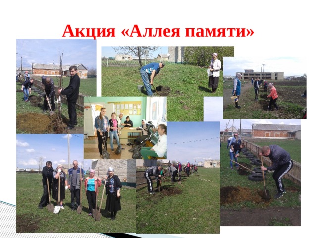 Акция «Аллея памяти» 