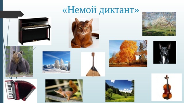 «Немой диктант» 