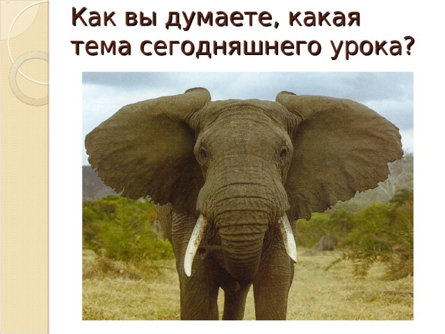 Как вы думаете, какая тема сегодняшнего урока? 