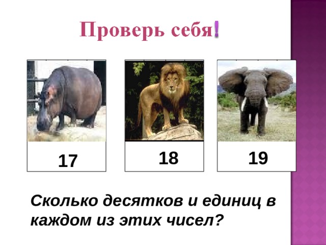 18 19 17 Сколько десятков и единиц в каждом из этих чисел? 