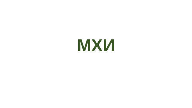    МХИ 