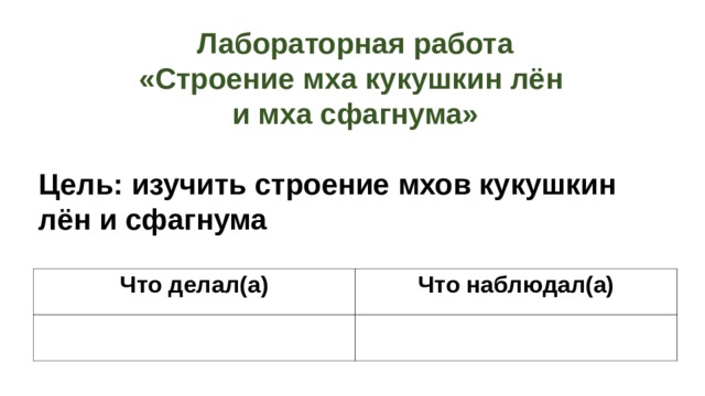 Лабораторная работа «Строение мха кукушкин лён и мха сфагнума»  Цель: изучить строение мхов кукушкин лён и сфагнума   Что делал(а) Что наблюдал(а) 