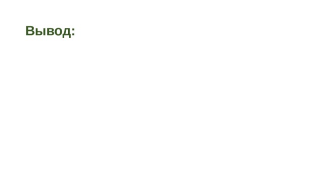 Вывод: 