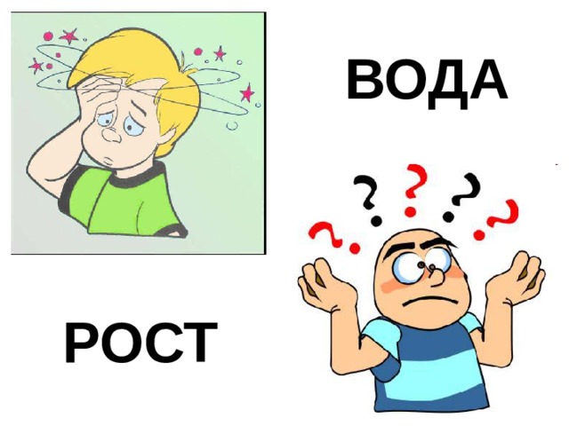 ВОДА РОСТ 