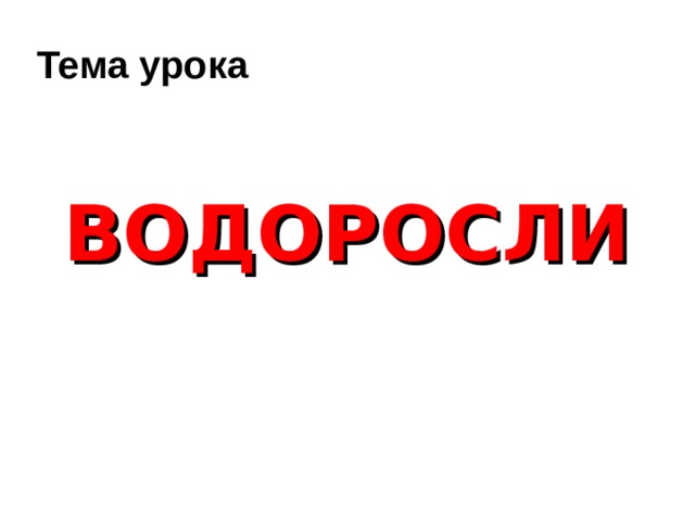 Тема урока ВОДОРОСЛИ 