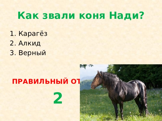 Как звали коня Нади? Карагёз Алкид Верный  ПРАВИЛЬНЫЙ ОТВЕТ  2 