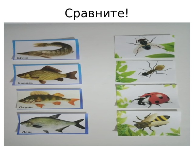 Сравните! 