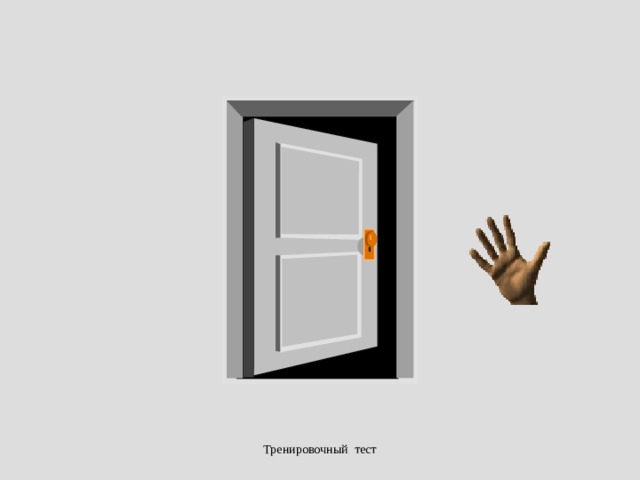 Тренировочный тест 