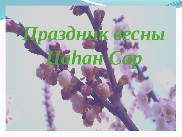  Праздник весны  Цаhан Сар   