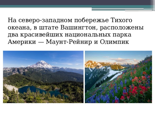  На северо-западном побережье Тихого океана, в штате Вашингтон, расположены два красивейших национальных парка Америки — Маунт-Рейнир и Олимпик 